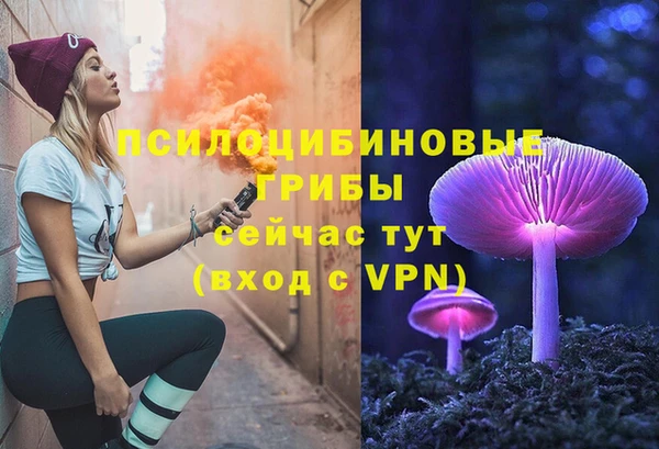 амф Абинск