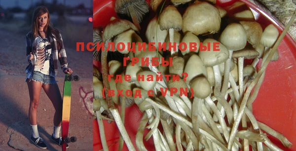 амф Абинск