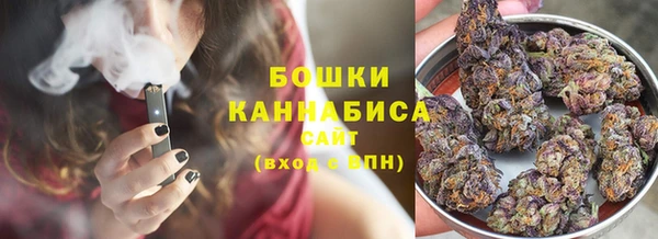 соль ск Абаза