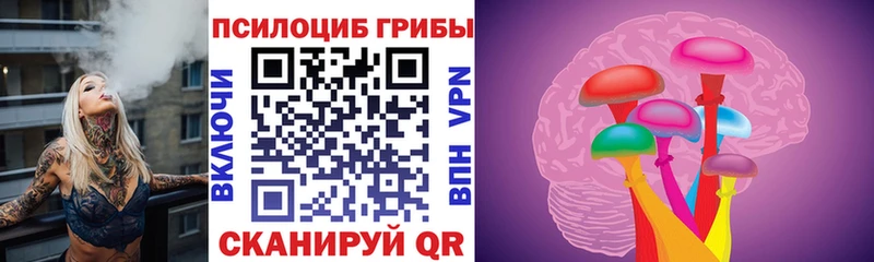 Псилоцибиновые грибы Psilocybe Усть-Кут
